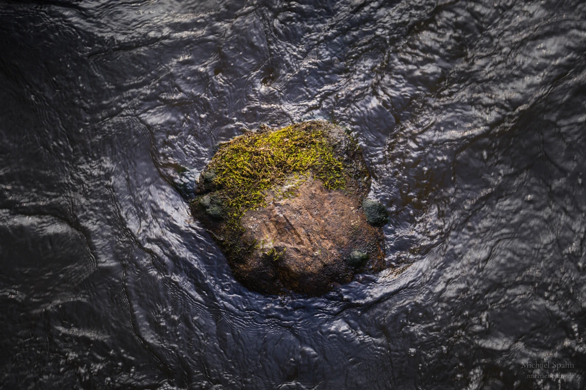 Stein im Wasser