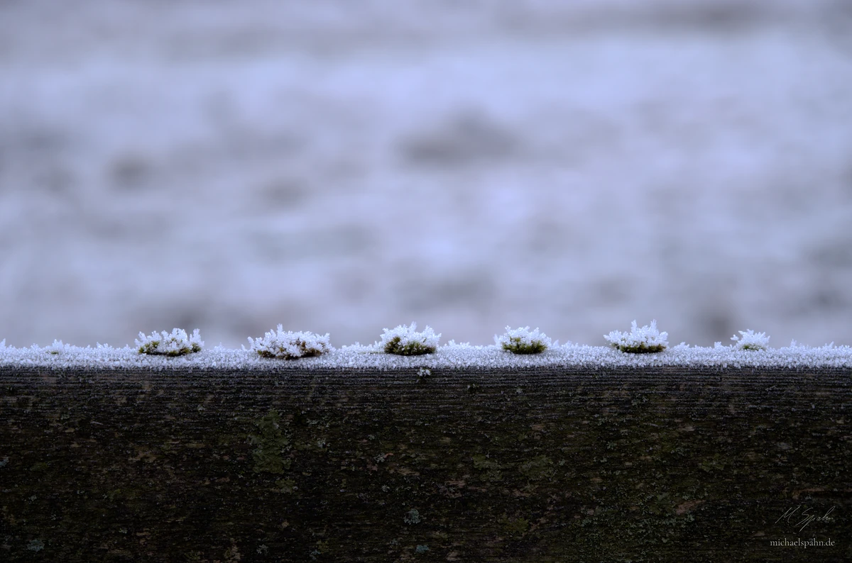 Frost auf Holz